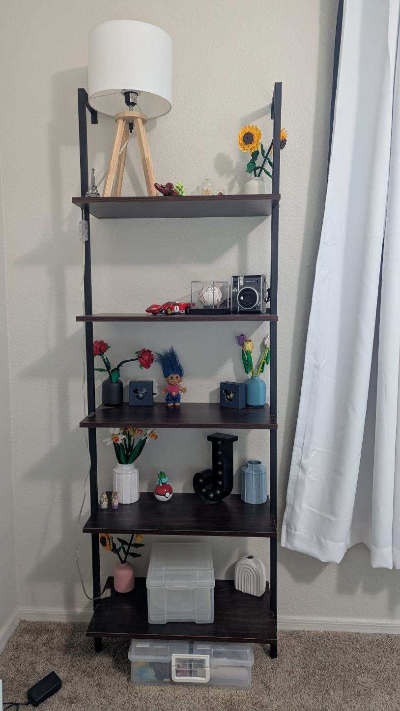 Ladder Like Shelf