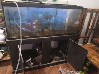 Fish tank with supplies