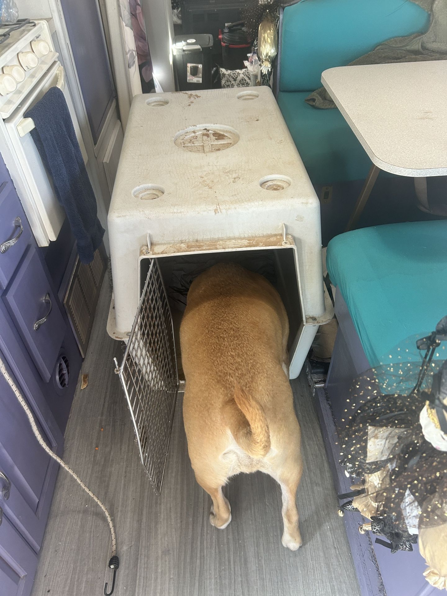 Pet Carrier, Crate, And Exercise Pin 