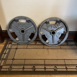 Paid of  VTX  45-pound Olympic Weight Plates 
