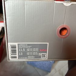 LeBron James Shoes 11.5