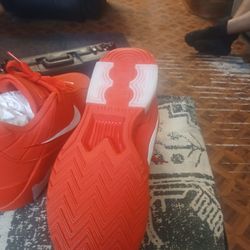 LeBron James Nike sneakers