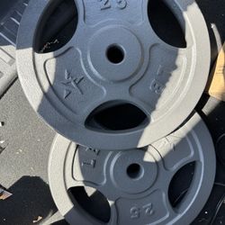 (2) 25 Lb Barbell Weights