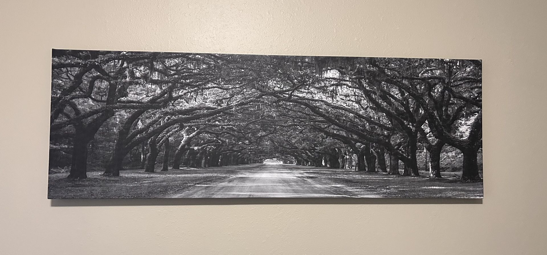 Canvas Photo