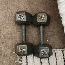25lb Dumbbells