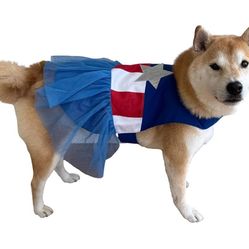 Dog 4th Of July Tutu Dress