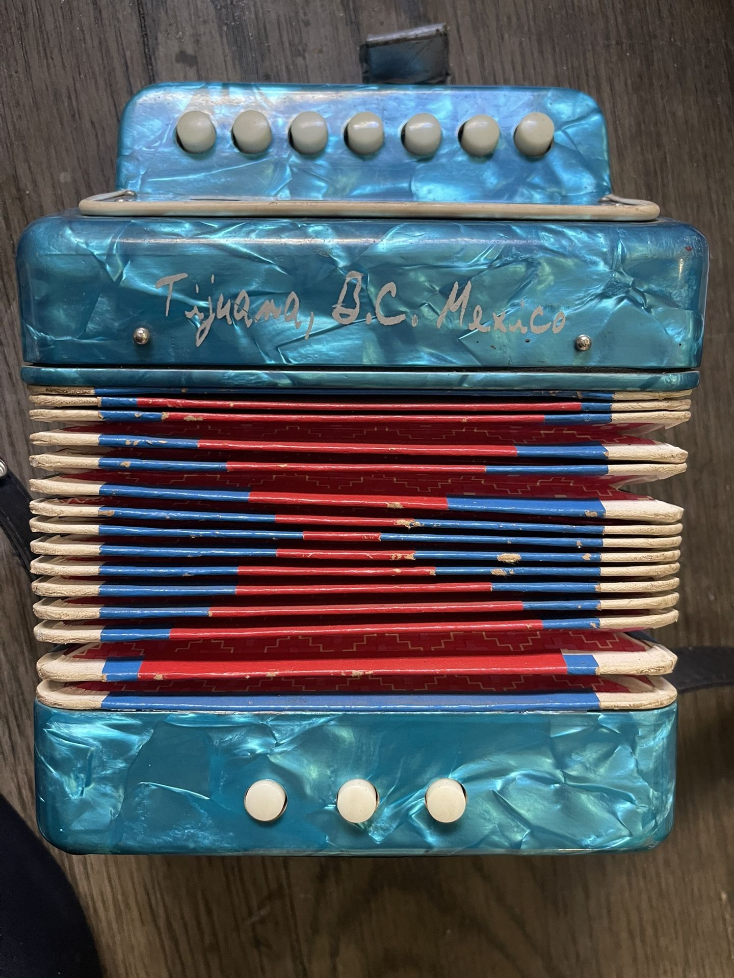 Acordeon ( Miniature) For Kids Music
