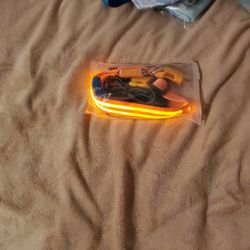 Led Dog Collars