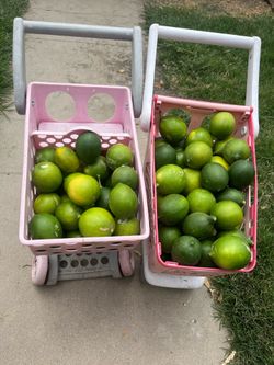 Limes