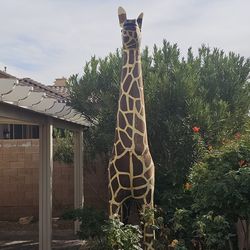 La Jirafa