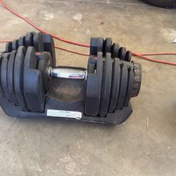 Bowflex Dumbell Set 