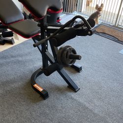 Full Weight Set Including Weights 