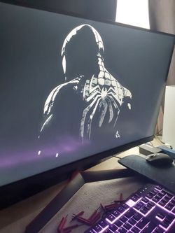 Monitor 4k 120fps+ LG