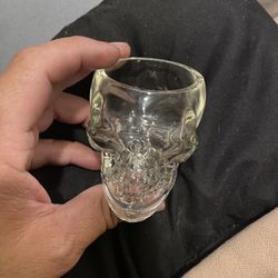Skull Shot Glasses