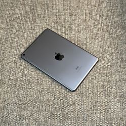 Apple iPad Mini 5th Gen 256GB