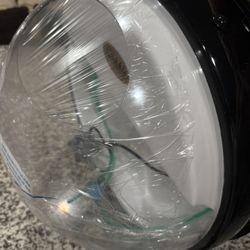 Fish Tank - Wall Mount 