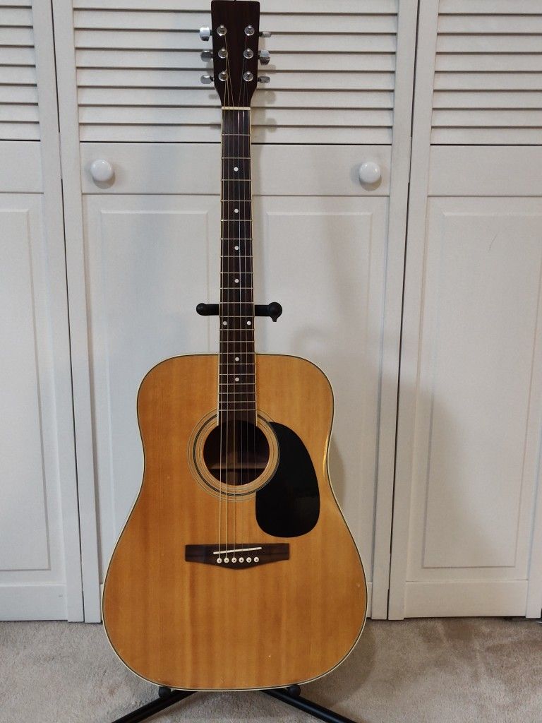 Guitar -Miles Martin Copy