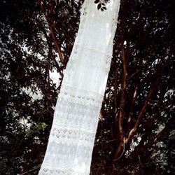 Rustic/Western Wedding Dress