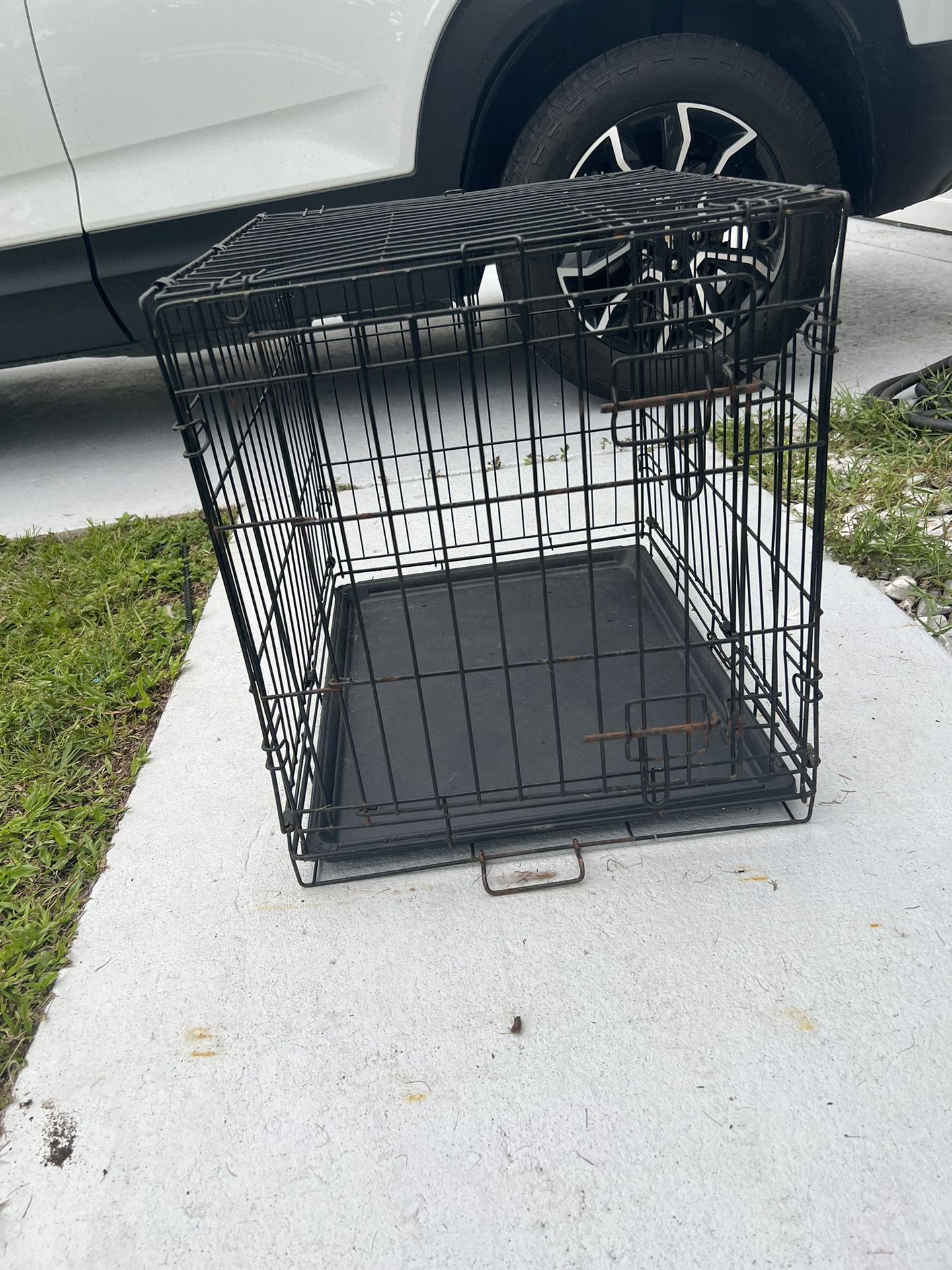 Dog Crate
