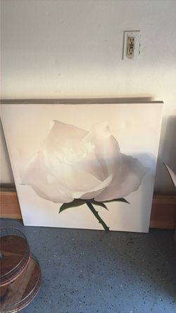 Hanging art