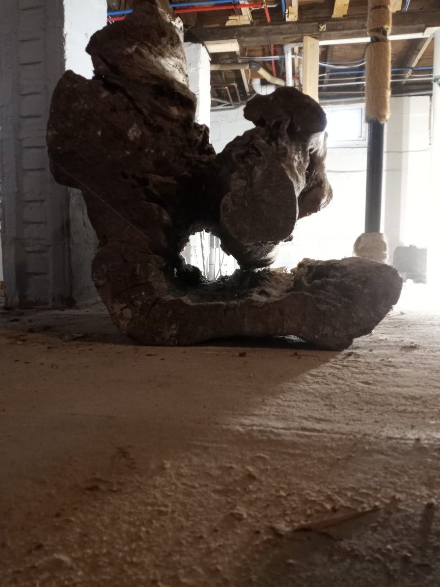 Drift Wood
