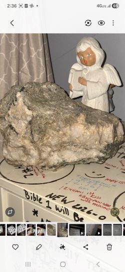 Baby T Rex Skoll Dinosaur 