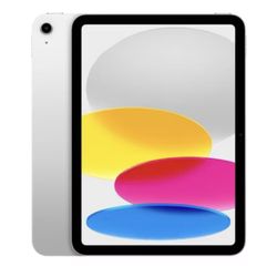 Apple iPad Sliver 