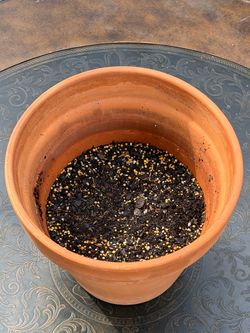 Terracotta Clay Flower Pot