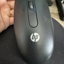 HP COMPUTER MOUSE