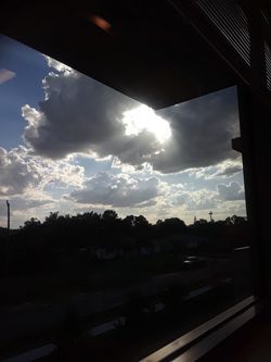 Tengo chivos ala venta $$desde $100