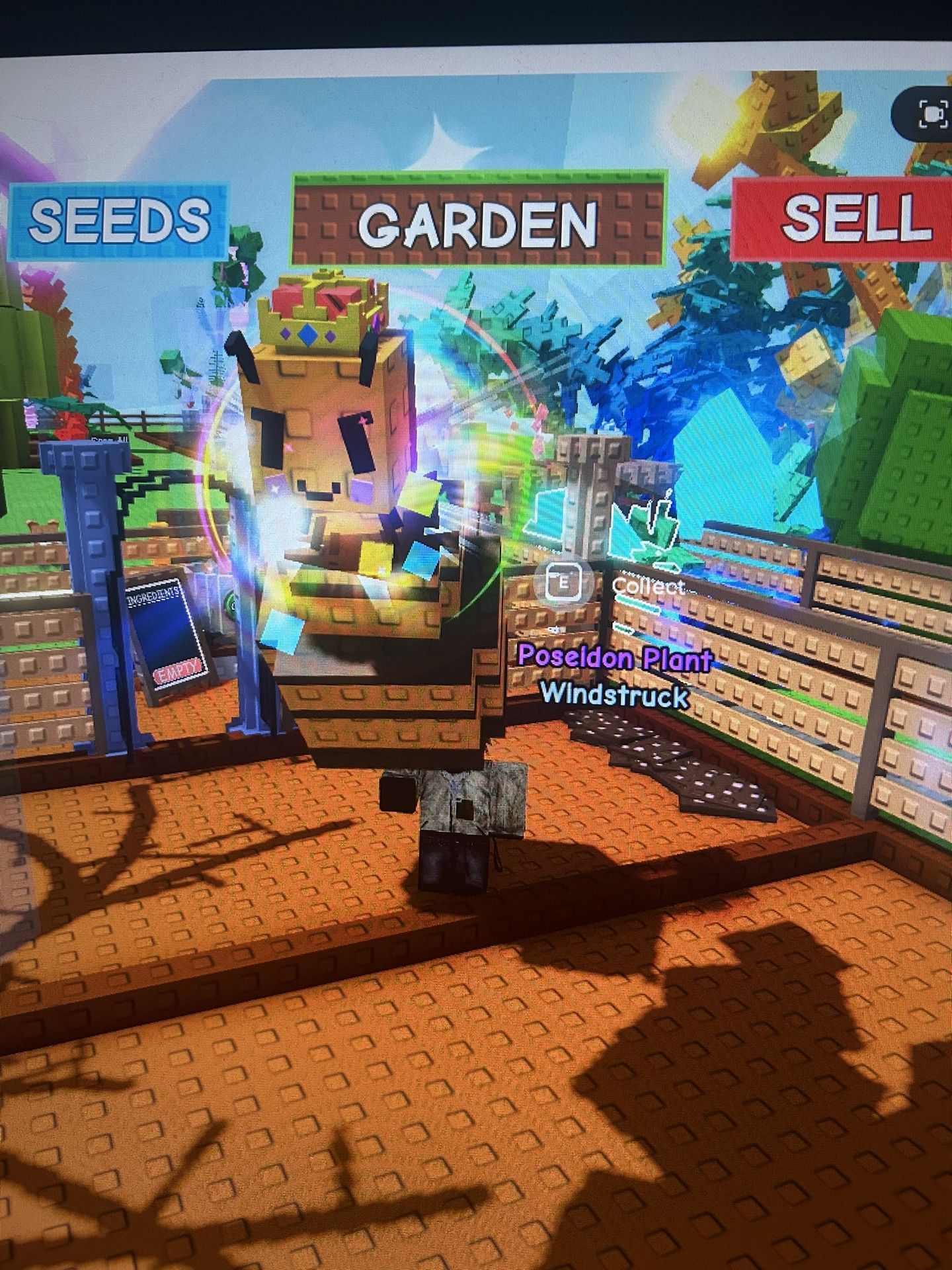 Rainbow Queen bee + 10qi sheckles