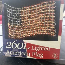 2 USA Patriotic American Lighted Flags  ($5 Each) 