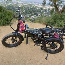 E LUX.  E BIKE.