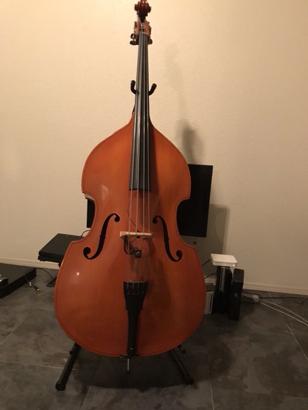 Karl Reiser Upright Double Base - Slap, Rockabilly, Psychobilly