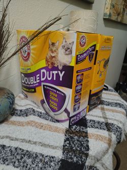 Kitty litter