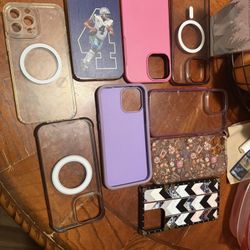 iPhone 13 Pro Max Cases