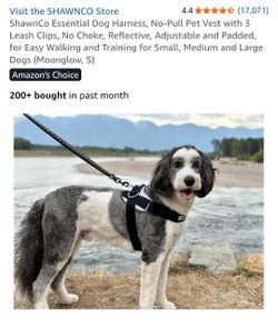 Gray small dog harness