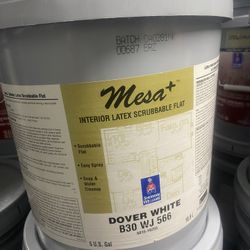 Pintura Y Material PAINT PAINT 