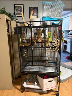 Large parrot cage with extras
