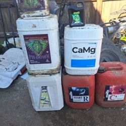 Hydroponics For Growing 