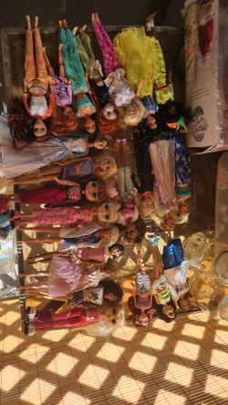 Barbie dolls and cats