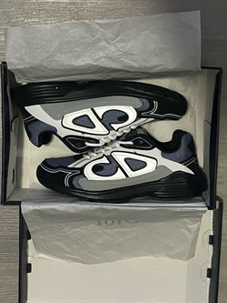 Dior B30 'Grey White'