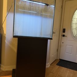 60g Cube rimless open top aquarium