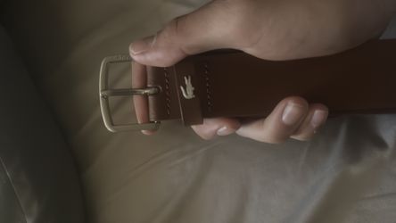 Lacoste belt