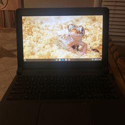 Chromebook Laptop