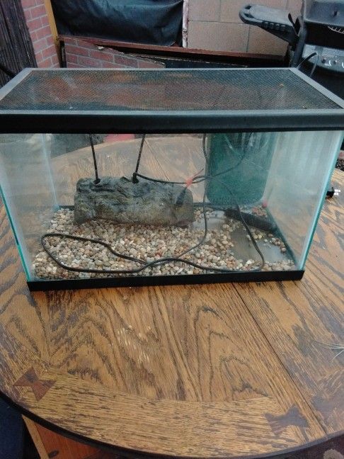 Reptile Aquarium With Filter And Heat Rock
