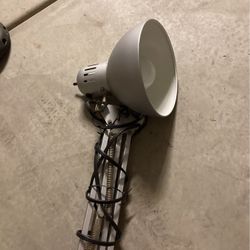 Desk Lamp