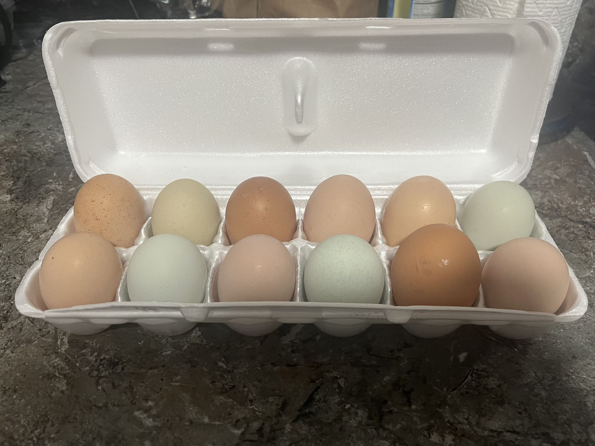 Organic Farm Fresh Eggs