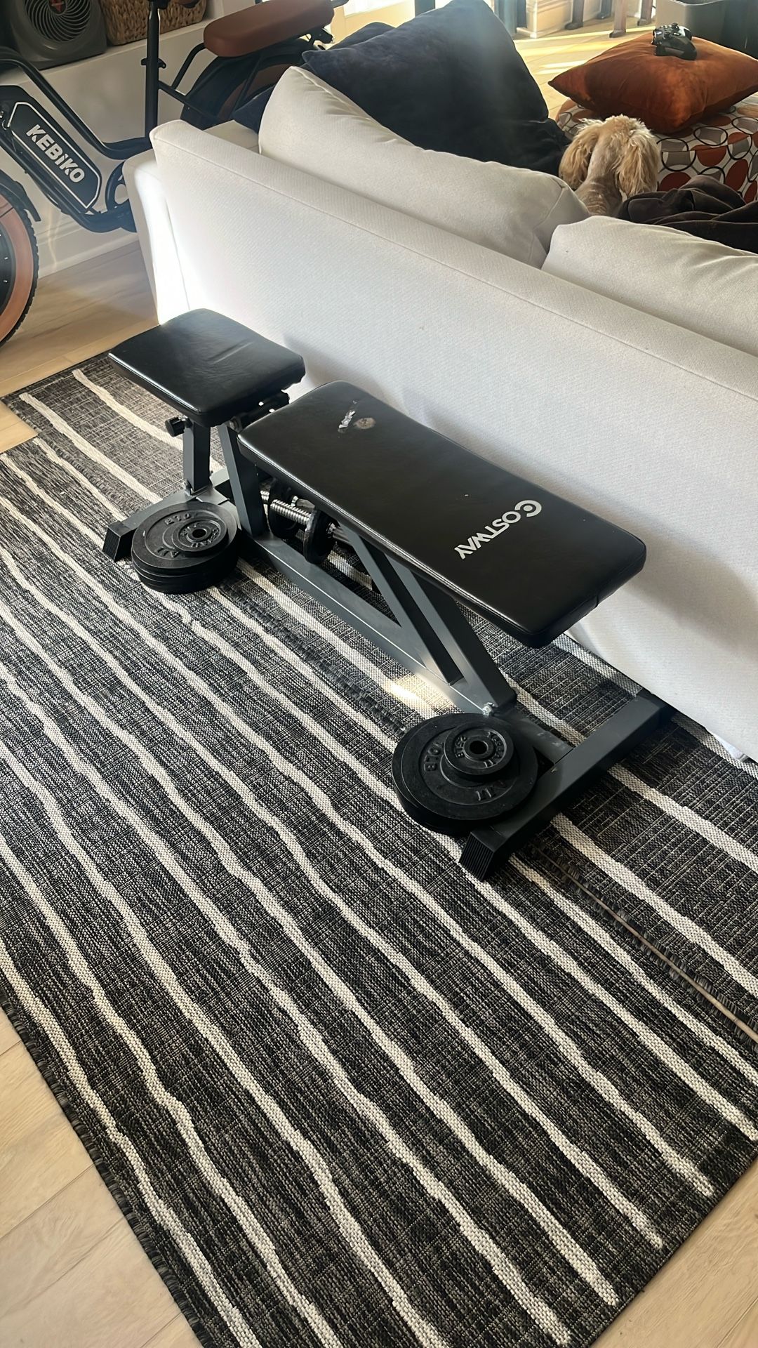 Full Costway Workout Bench Set
