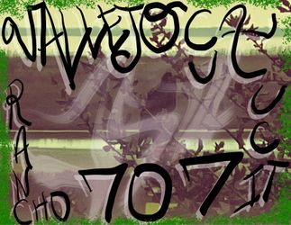 DIGITAL ART SWAMPSIDE VALLEJO CA